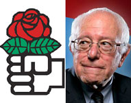 DSA-Bernie-150